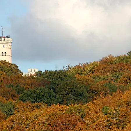Neuensienchen Апартаменты